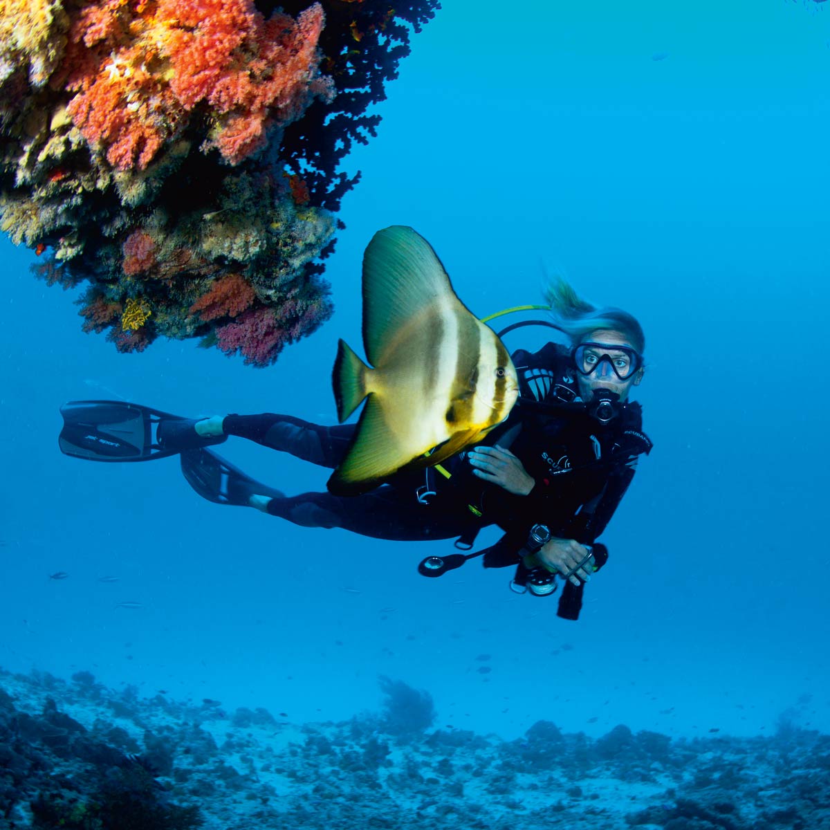 Activities Official Website Velaa Private Island Luxury Resort Spa Activities Official Website Velaa Private Island Luxury Resort Spa